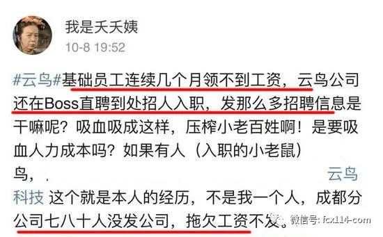 又一个“ofo”！云鸟科技破产：非法集资，拖欠工资，押金上亿