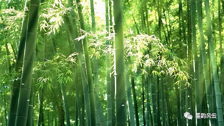 枝叶婆娑奏妙音，顶天立地尚虚心。藤县新庆诗社，书协，竹专题