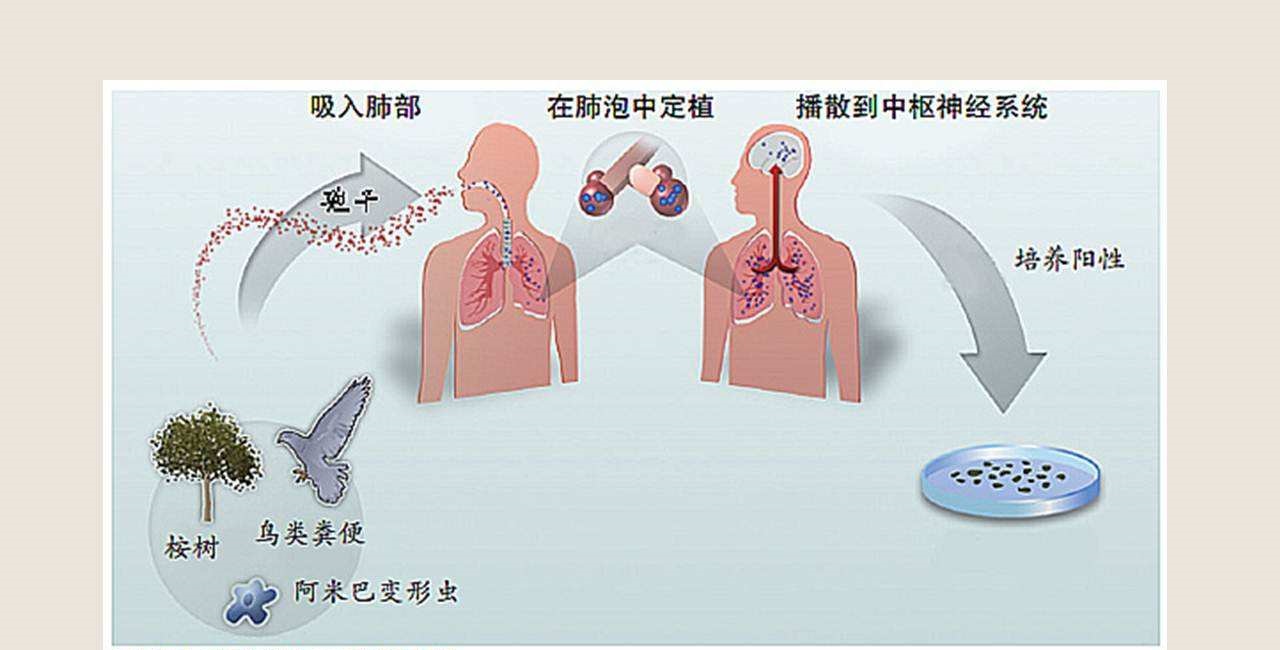 �ж�ŵ��������һ������������̷��䡱��ֳ������Ϊ����ڿƼ�