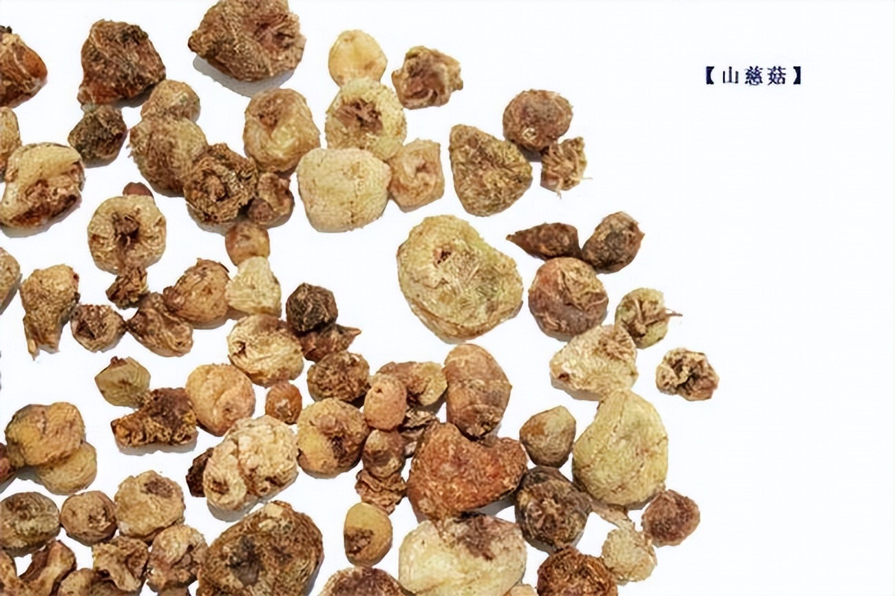 每日一味抗癌中药——山慈菇,消肿散结功效强,组方用于多种癌症