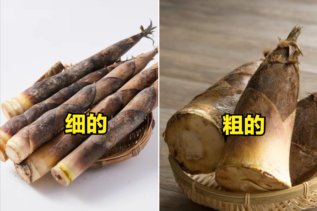 春天买春笋,记得区分"粗的"和"细的",差别挺大,别挑错了