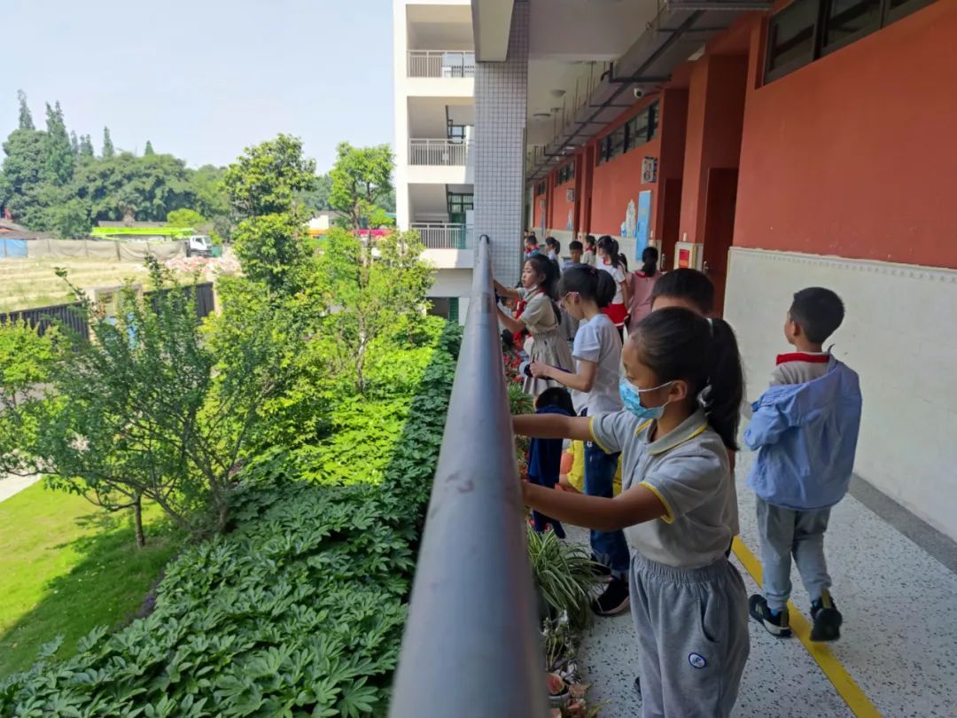 成都市双流区实验小学外国语学校有序推进新队员入队仪式课程
