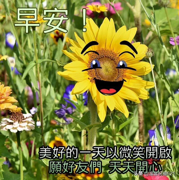 4月13日早上好祝福语优美句子,祝您天天好心情,事事都顺利