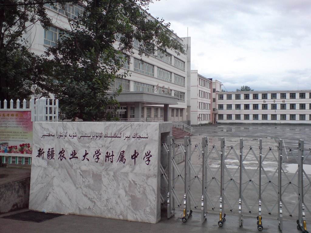 乌鲁木齐最好的10所高中