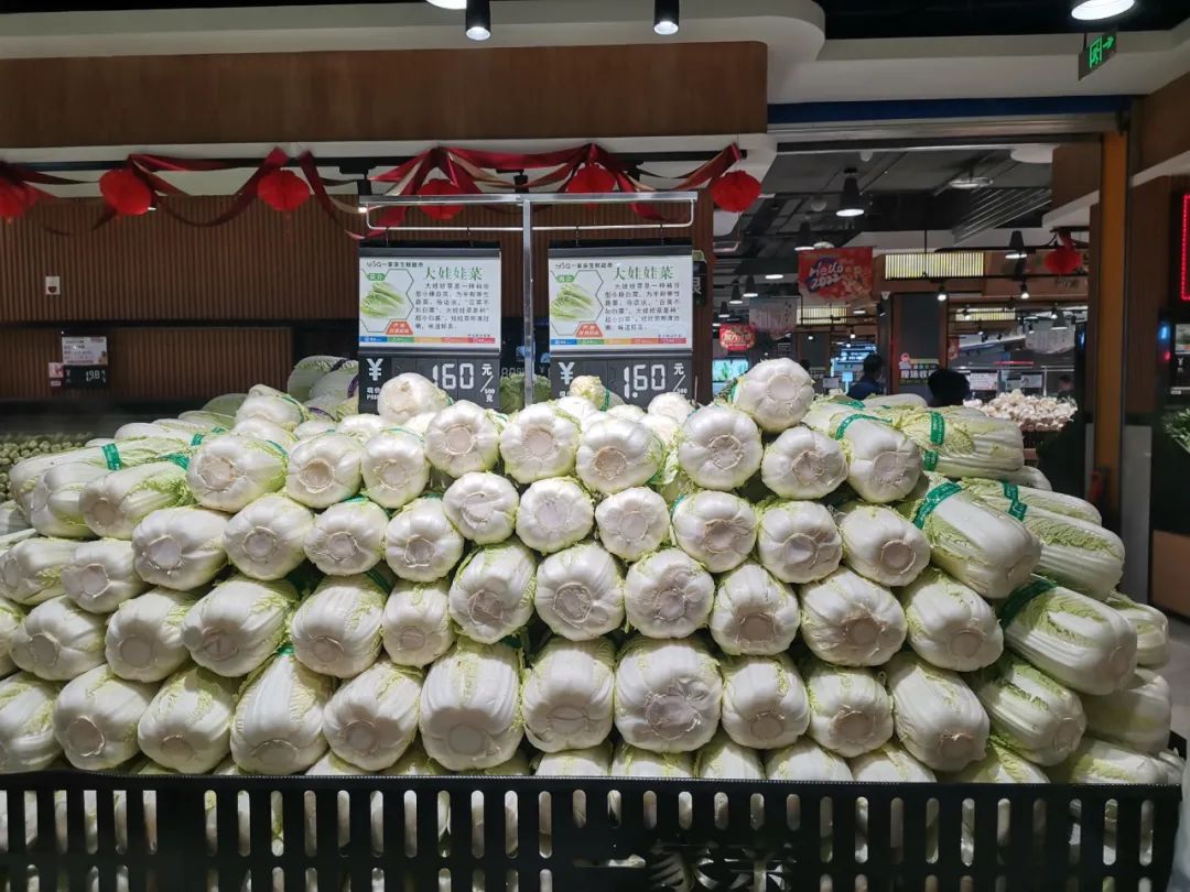 һ����̽���������̳�������������Ӫ��Ӫ+�ֳ�