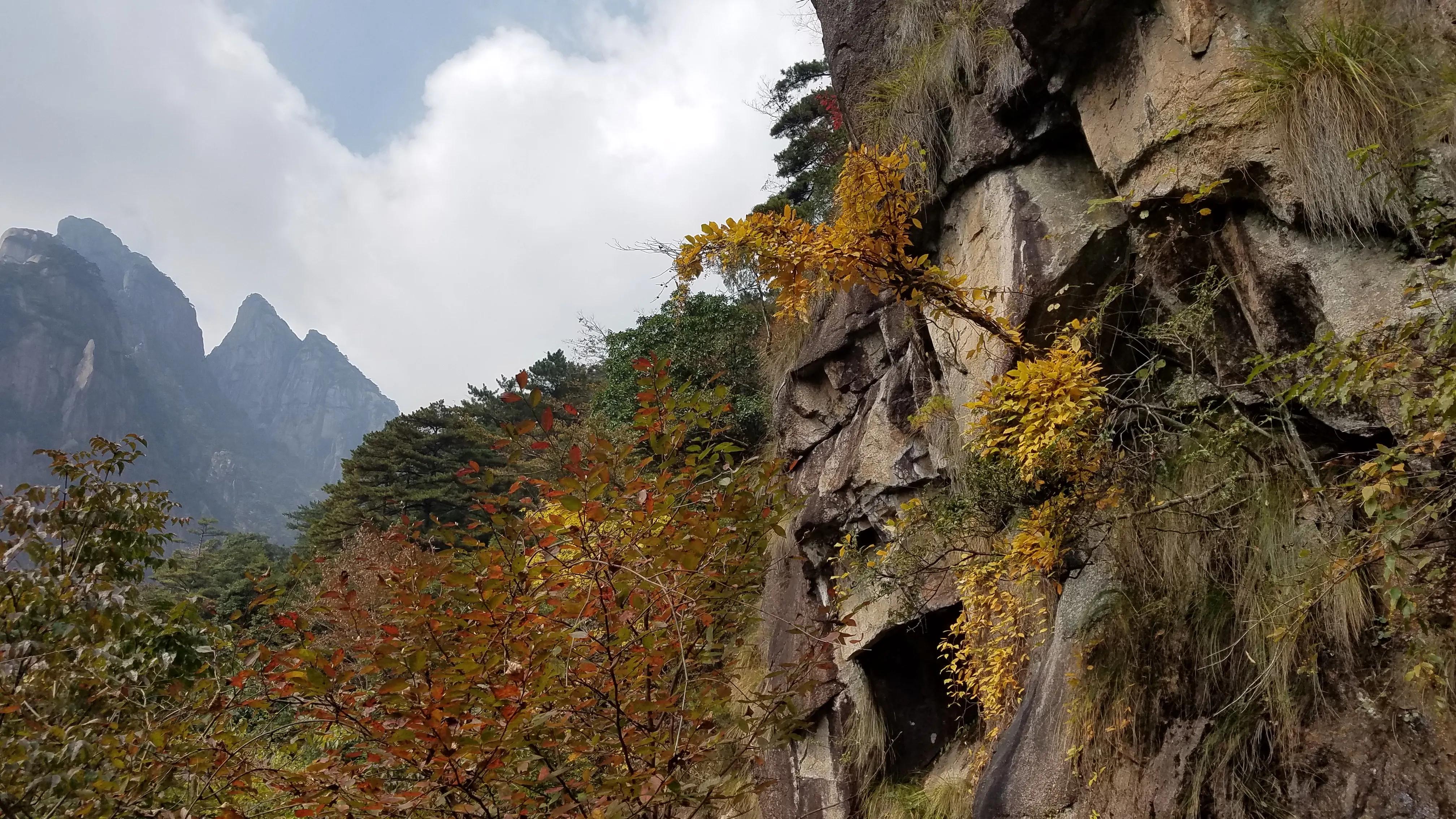 黄山：挑战1860米海拔光明顶，去见证醉美松雾石林日落云海之奇观
