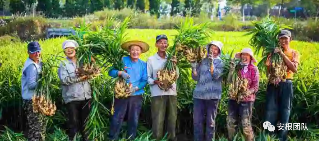 农民合作社提升服务能力的政策建议