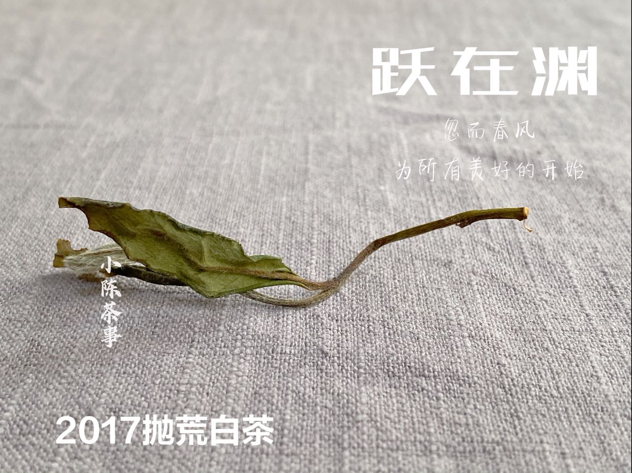 绿茶、白茶、岩茶、红茶、普洱茶，都是越陈越好吗？现在有答案了