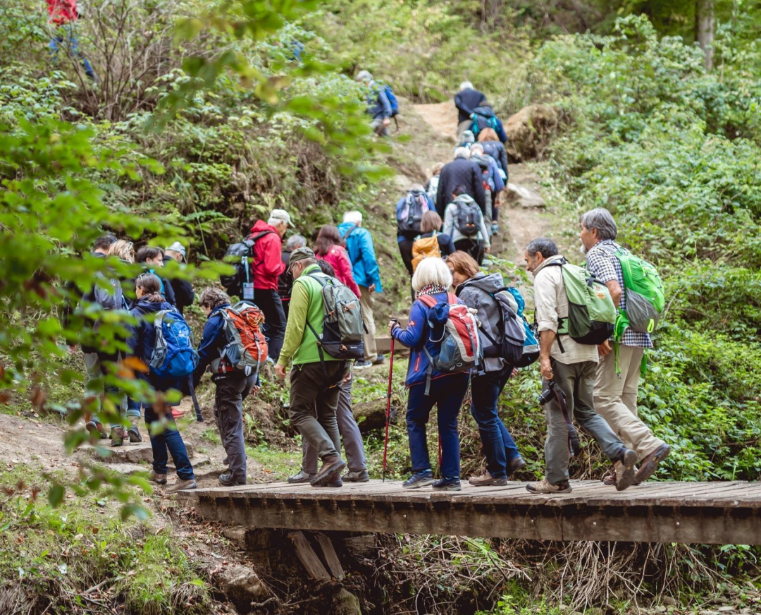 山高享清幽——一文帶你解讀山地旅游產品打造