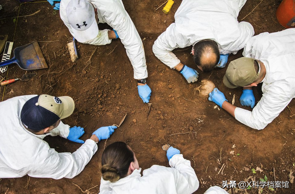 尸体农场(揭秘世界上首个尸体农场！1800具尸体死后依旧在此工作)