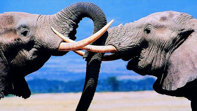 ���ۣ�����������̫�մ�ܣ����˵Ļ�������