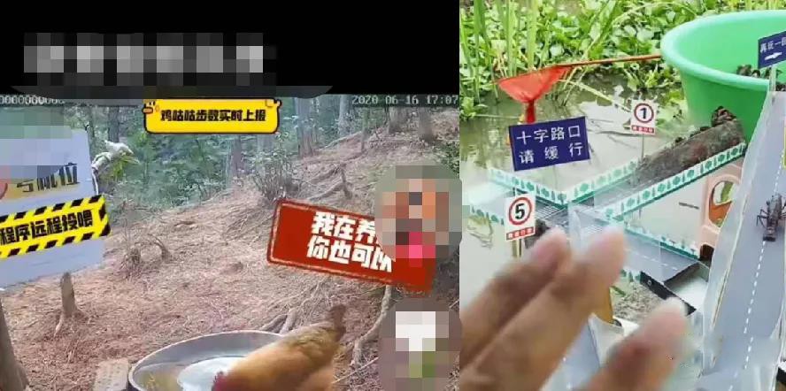 短视频暴利赚钱技巧，新手掌握技巧一天能赚500+