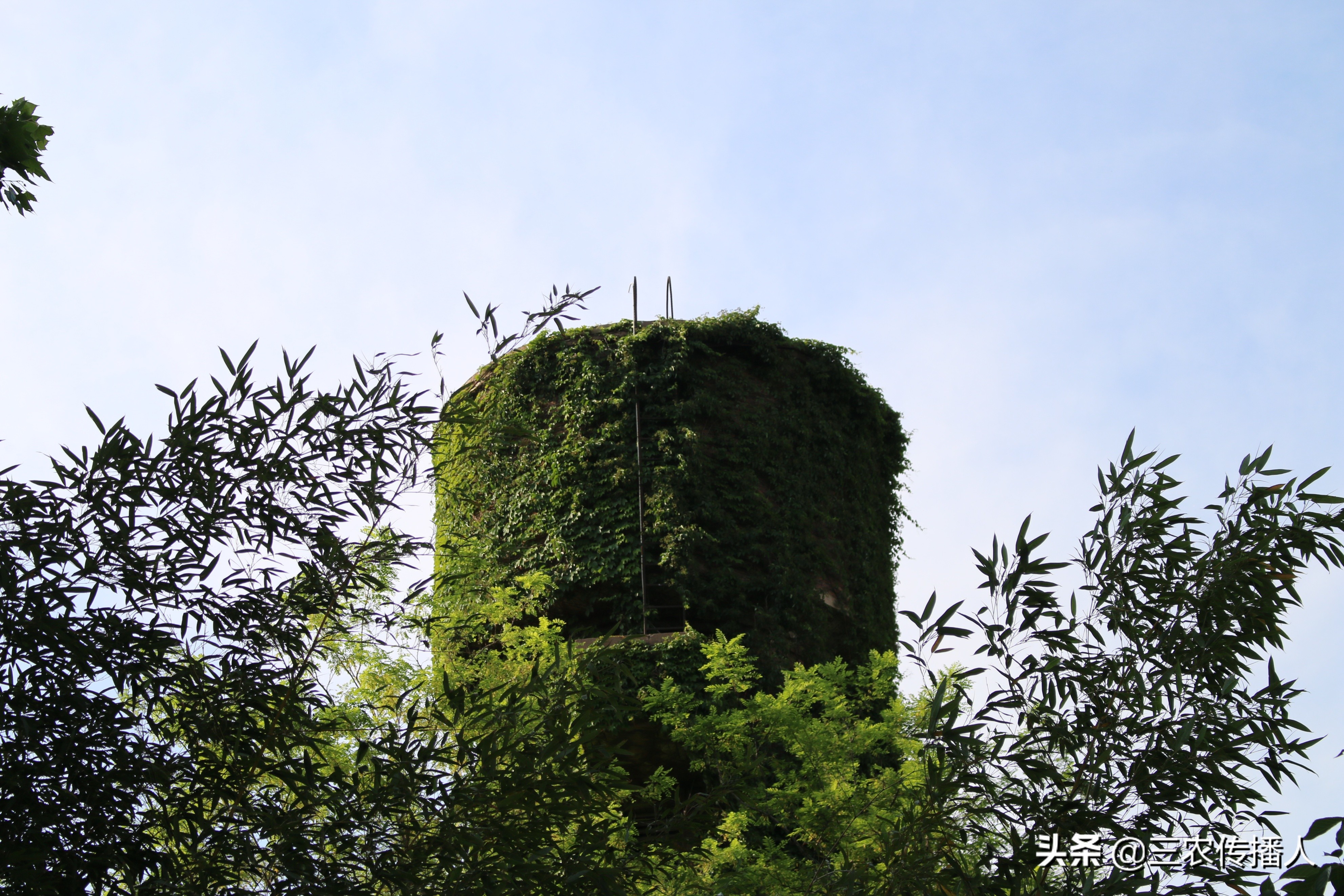 高考将至 | 用照片带你领略中国农业大学~ 是你向往的大学吗？