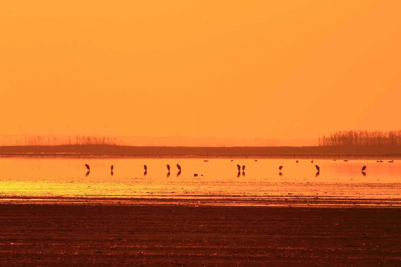 当涂这些被“雪藏”的美景，你都发现了吗？