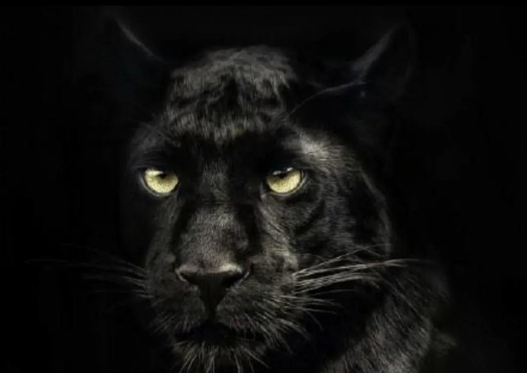 马云文案教你认清现实