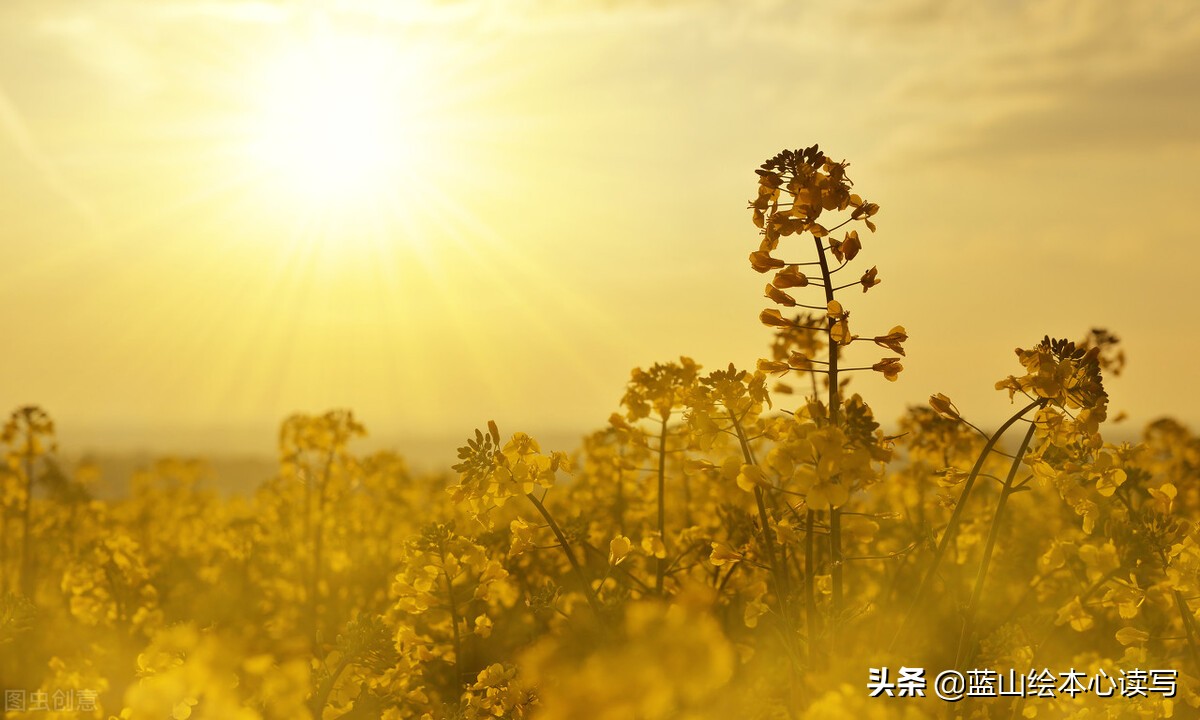 写作手法到底有哪些？傻傻分不清，为你详解这3个方面的内容