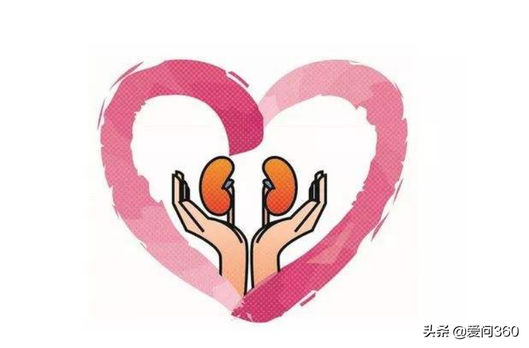 肾脏到底好不好，头发也能看出来，教你几个判断肾脏问题的方法