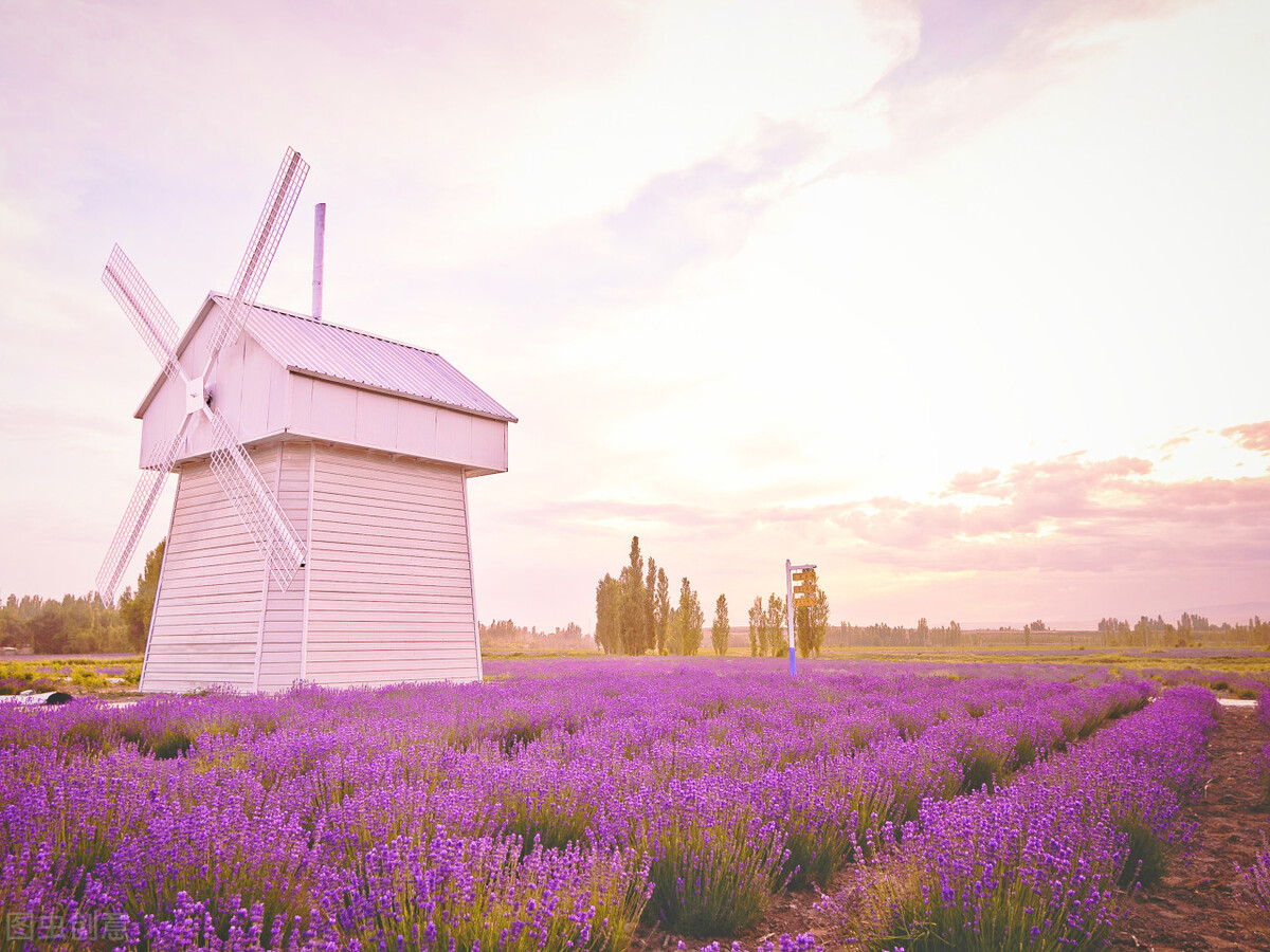 皮到挨揍的朋友圈幽默文案
