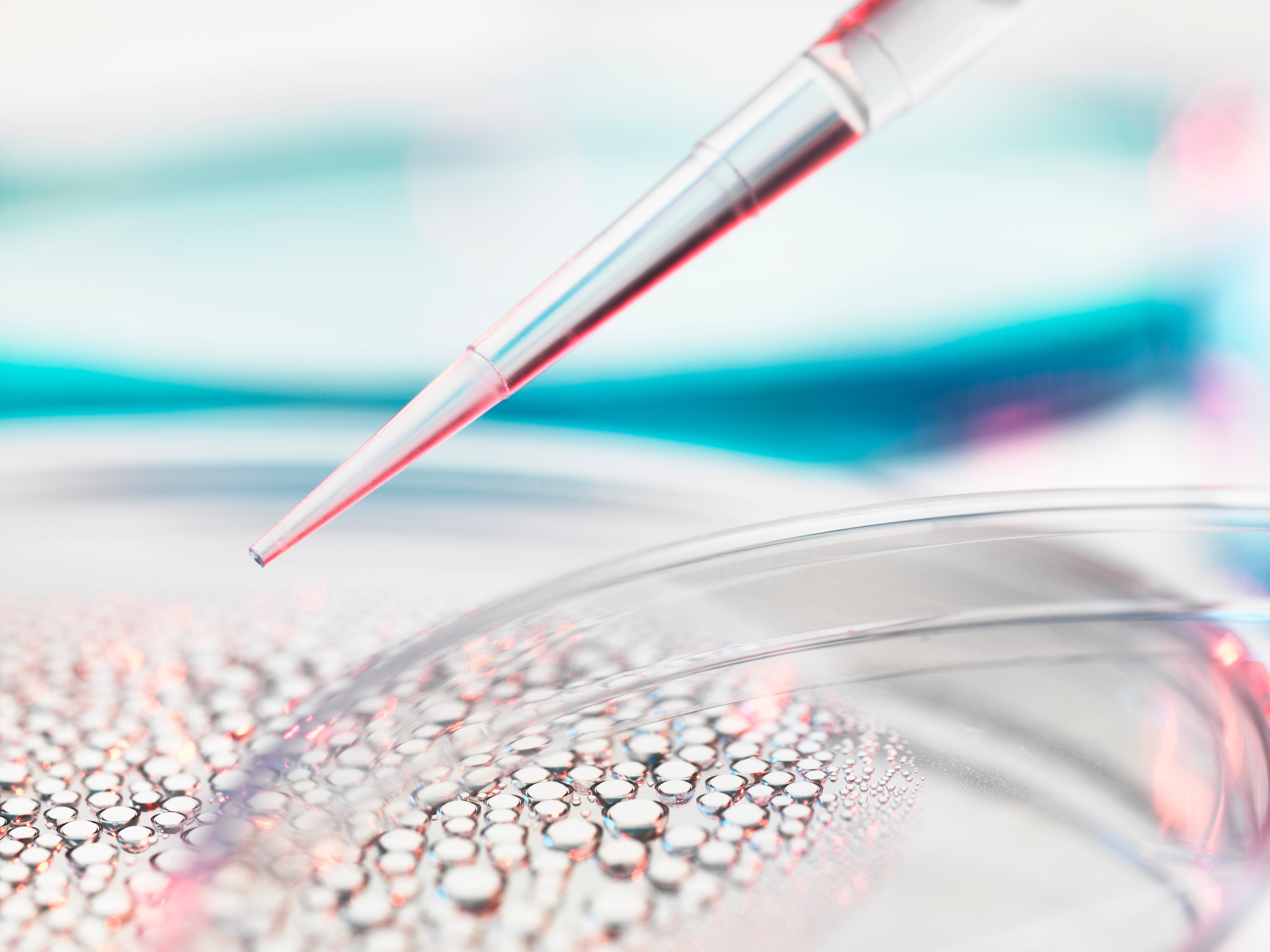 年度热门十大专业，2022高考必读