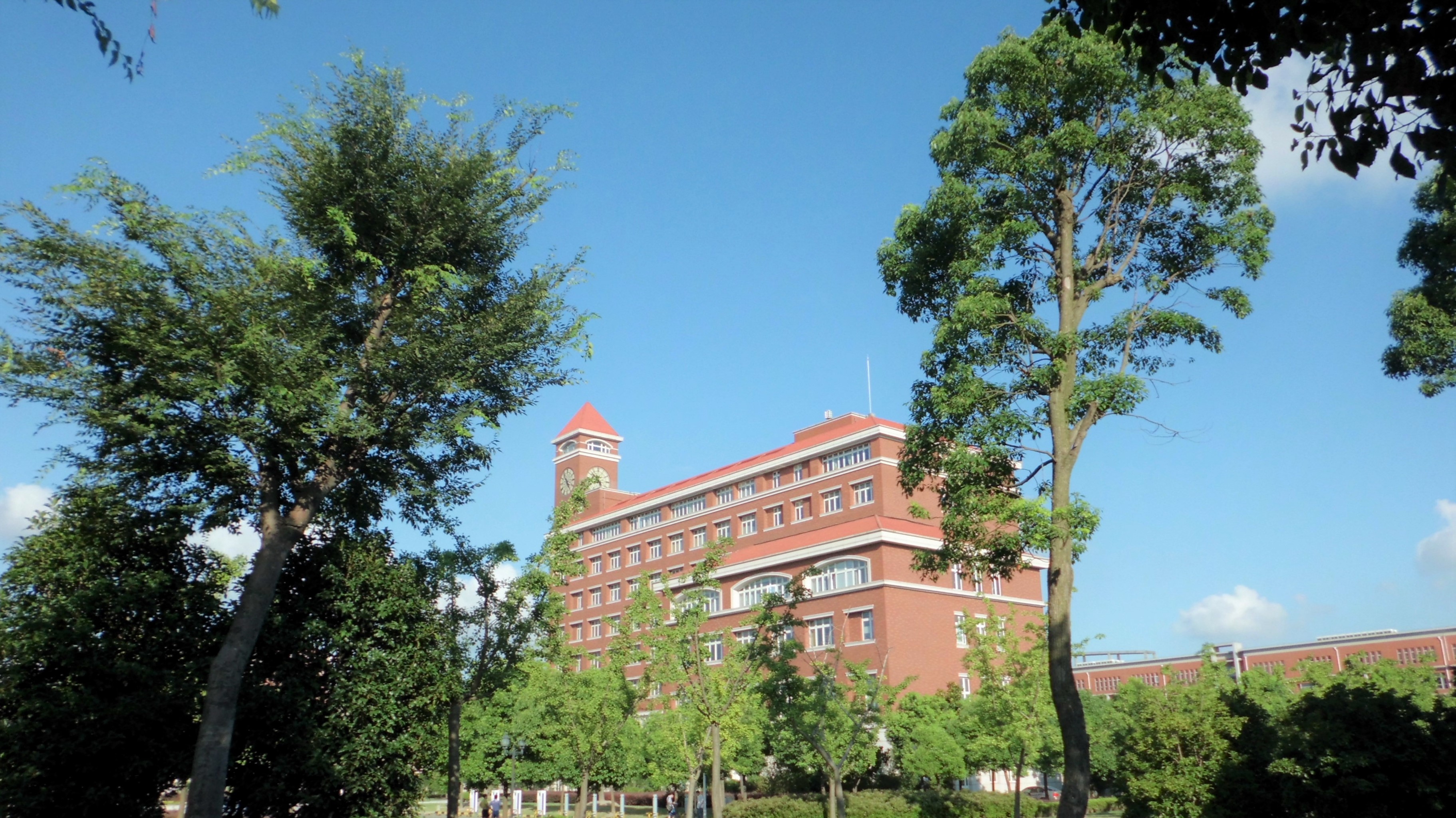 没人告诉你上海交通大学是一座非常美丽的校园吗？