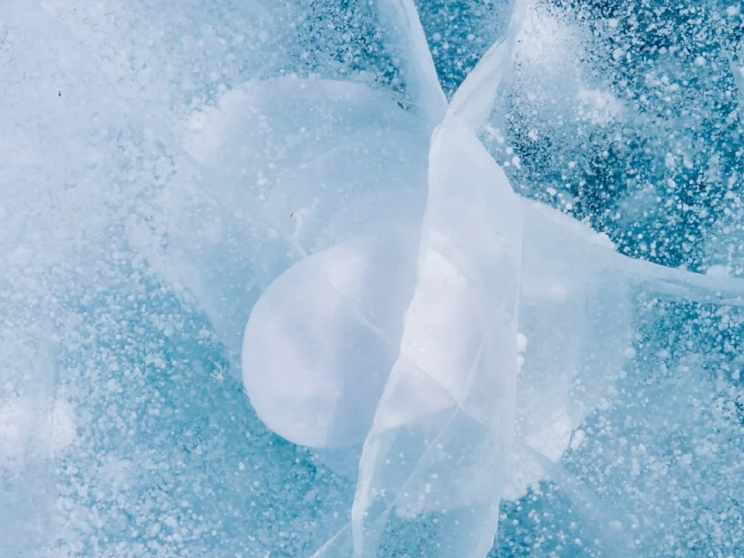 终不负约!冰雪大世界开园!雪乡恢复开放!梦幻大东北又回来了
