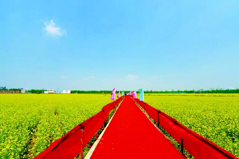 共赴三晋大地游水赏花 尽享春意如诗山河如画