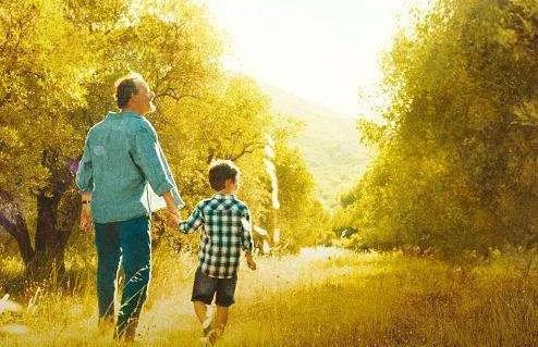 20部夏天宅家必看的治愈系电影