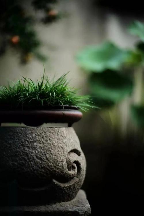 孤独着自己的孤独,在孤独中终老