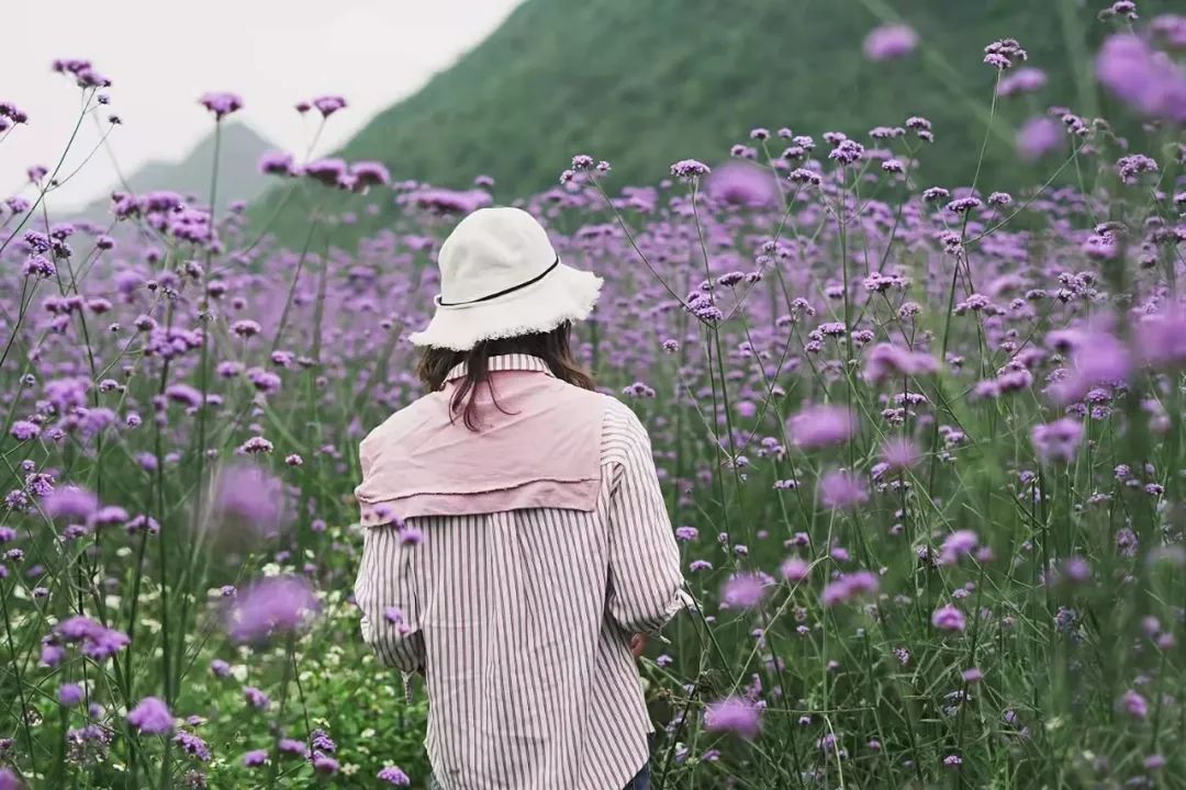 徐霞客在此住了54天，这里是四季花期永不过时的南宁“后花园”……