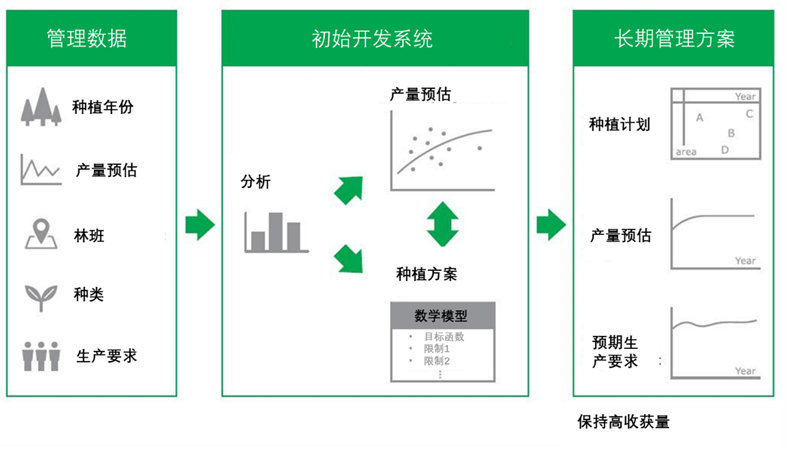 普利司通利用大数据优化橡胶树种植，助力橡胶园增产