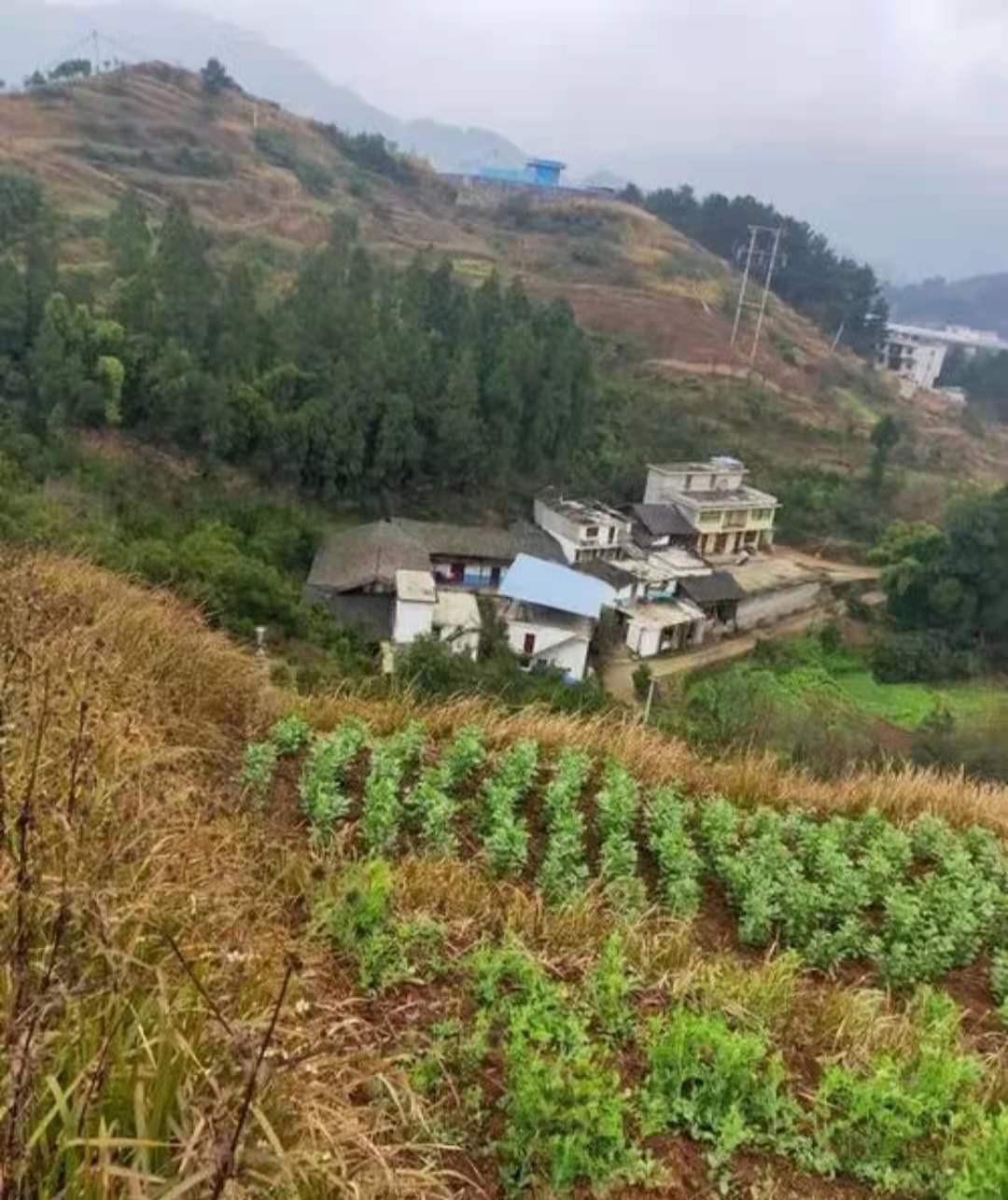 贵州神童考上985，大一挂科14门，茅台暂停资助，如今已幡然醒悟