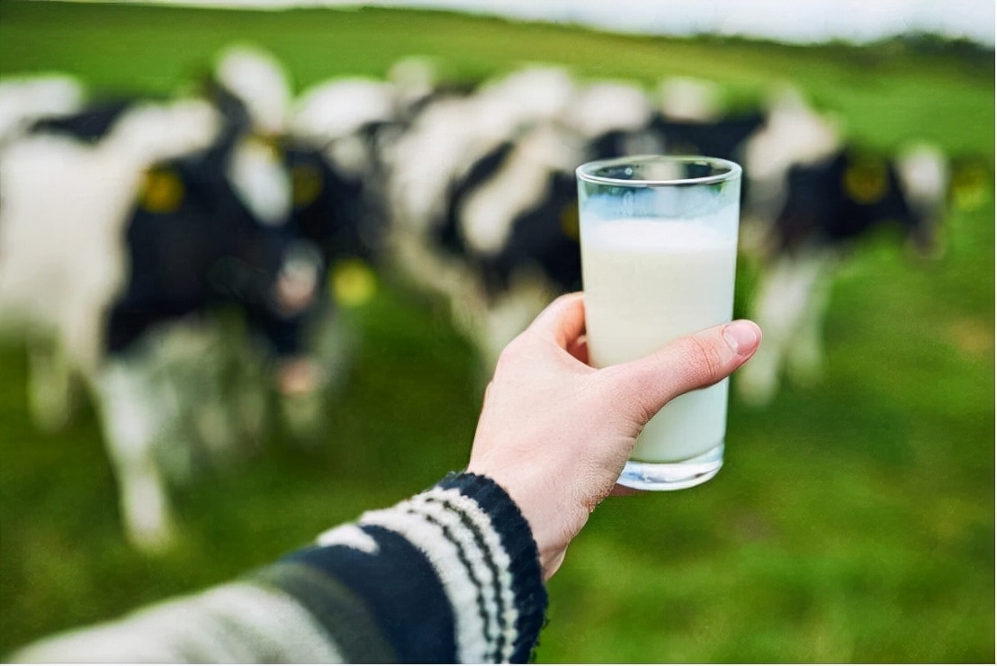 牛奶是肺結節“加速器”嗎？ 忠告：4類食物，肺結節患者要節制
