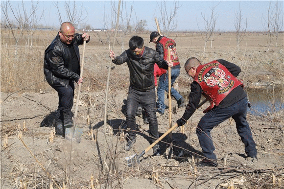 美科学家发现地球正“变绿”，原因在中印，专家却对印度很担忧？