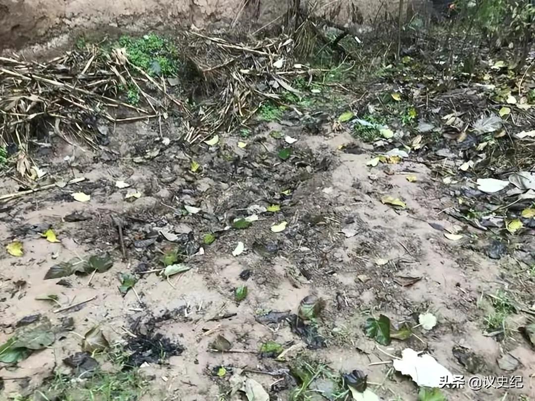 2020年，陕西15岁少年被围殴致死并遭埋尸：6名嫌疑人均未成年