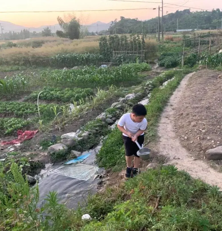 “来得正及时啊！”一份清单引起家长共鸣，桐庐有所小学已经开始
