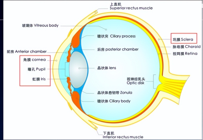 开启元宇宙的数字人之旅