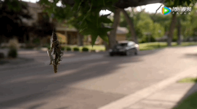 9.9分“世纪神剧”！才三集就“搞崩”豆瓣，还破吉尼斯世界纪录