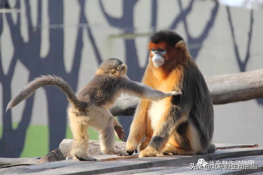 「温情时刻」定格瞬间，感受美好