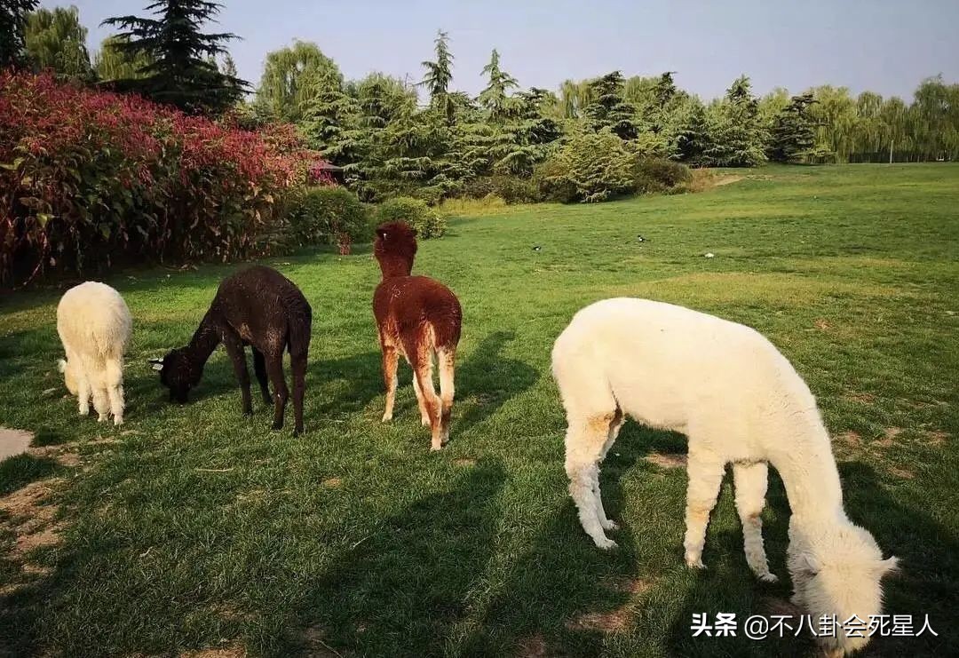 北京十大私人四合院(13位明星的北京豪宅，3亿四合院，住在故宫旁，客厅值3千万)