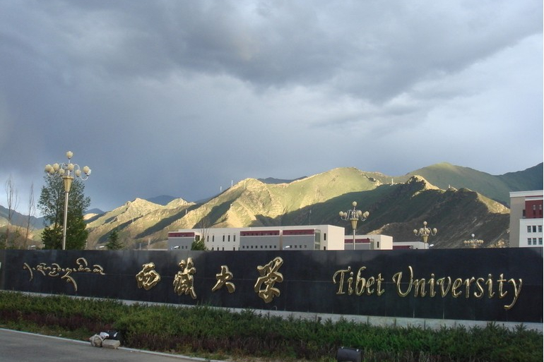 美术统考230/文化350分！省会城市最好考的公办本科院校有哪些？