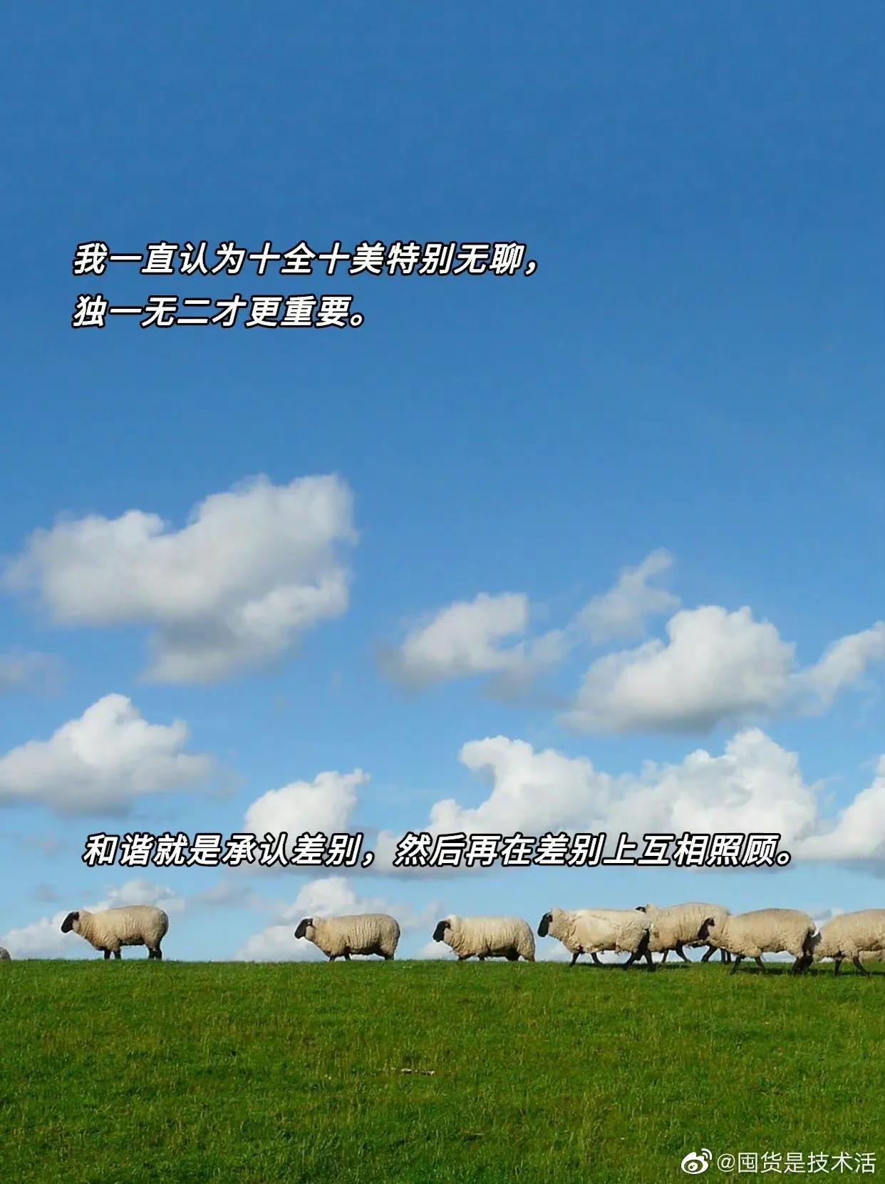 据说大张伟的嘴能救命，这谁能扛得住