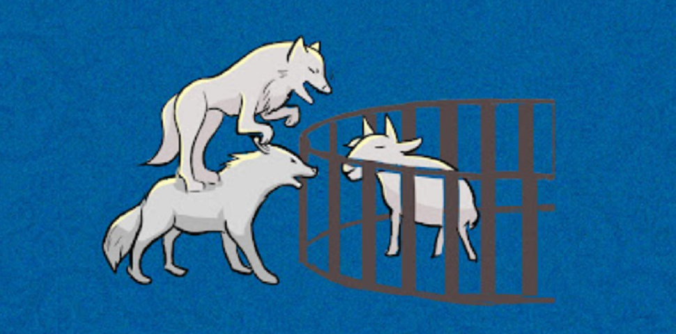 狈的图片(狈的图片大全 真实) - 泉兴百科