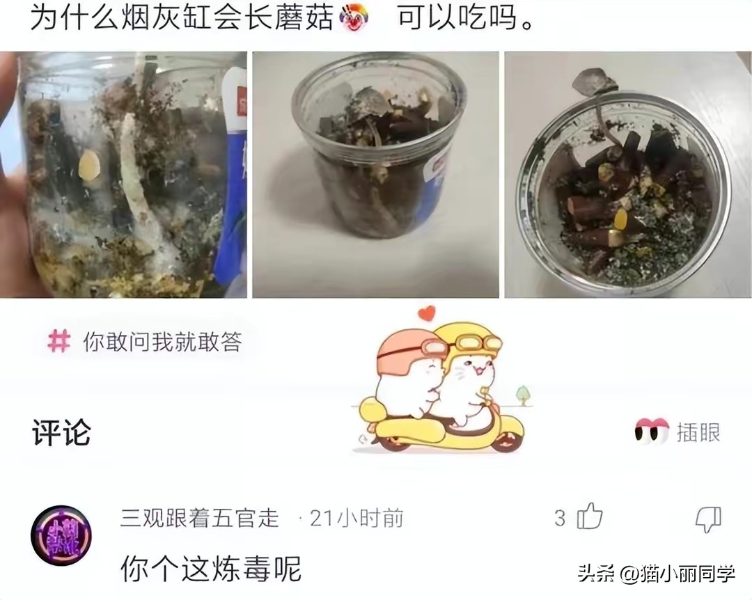 “回家的路上看见的，我现在很慌，该怎么办啊？”哈哈哈