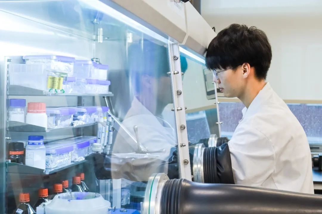 新材料与新能源学院-深技大普通本科计划招生3400人