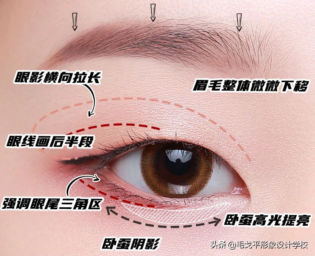 眼妆怎么画初学者，新手日常眼妆的画法步骤教程