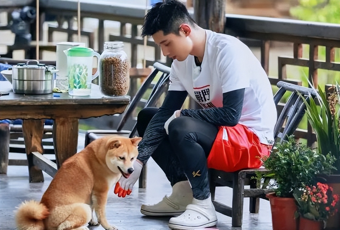 《向往的生活》张继科参加的是哪一期？他为啥带走一只小狗？