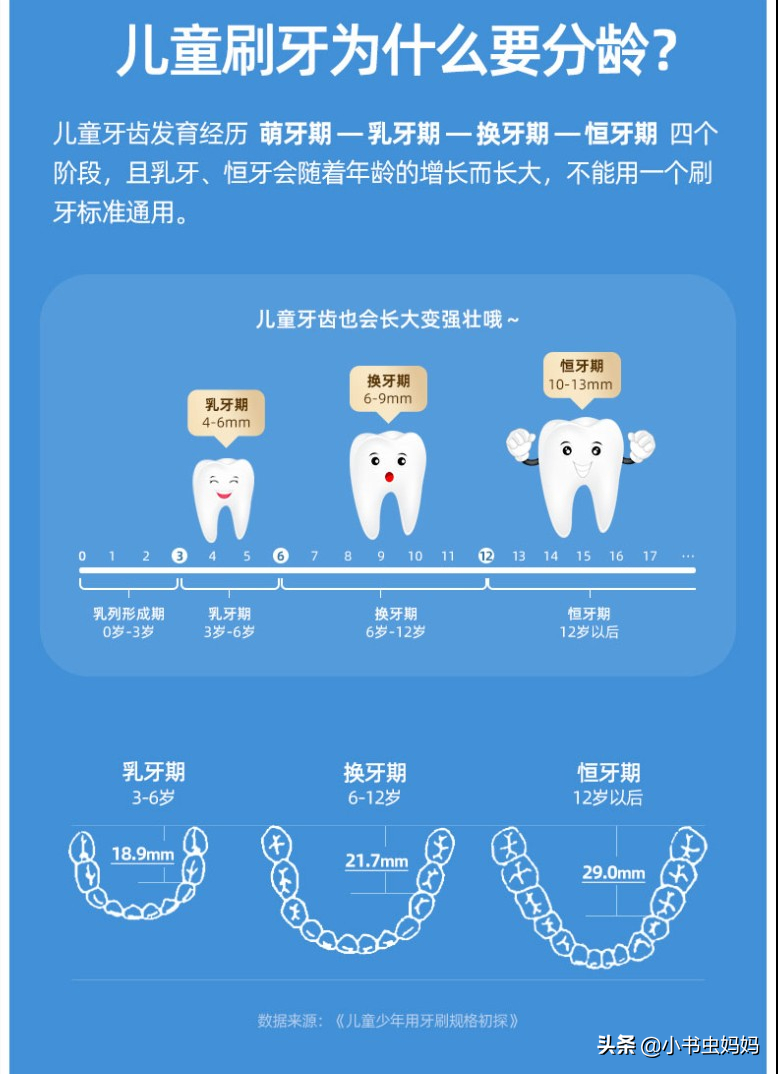 根据年龄段选择儿童牙齿发育经历萌牙期—乳牙期—换牙期—年轻恒牙期