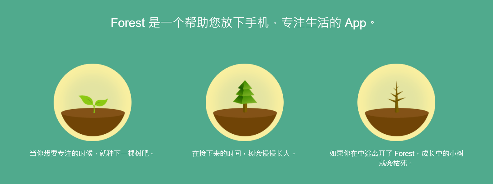 給程序員的6款殺手級生產(chǎn)力應用