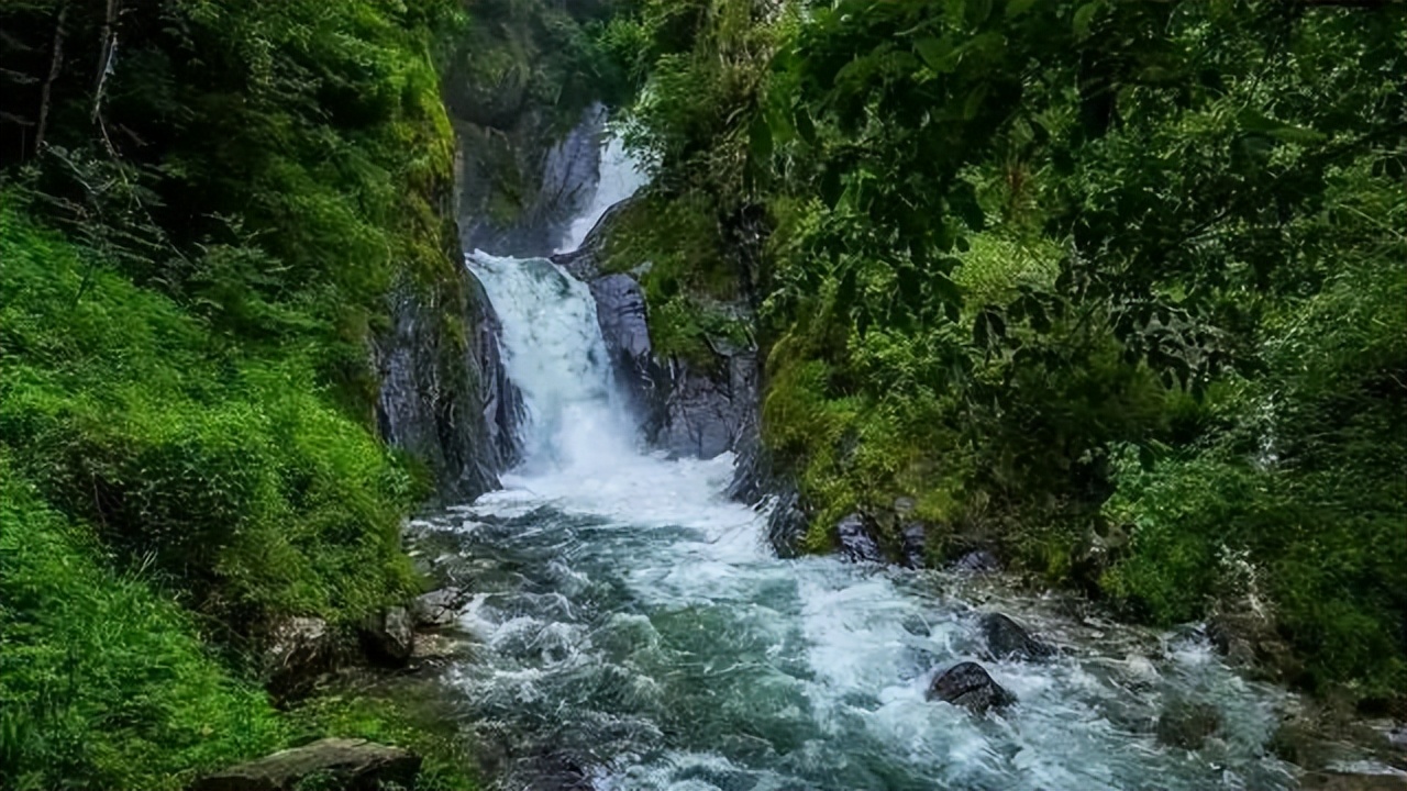 待山河无恙，你我安好，一定共赴春光无限