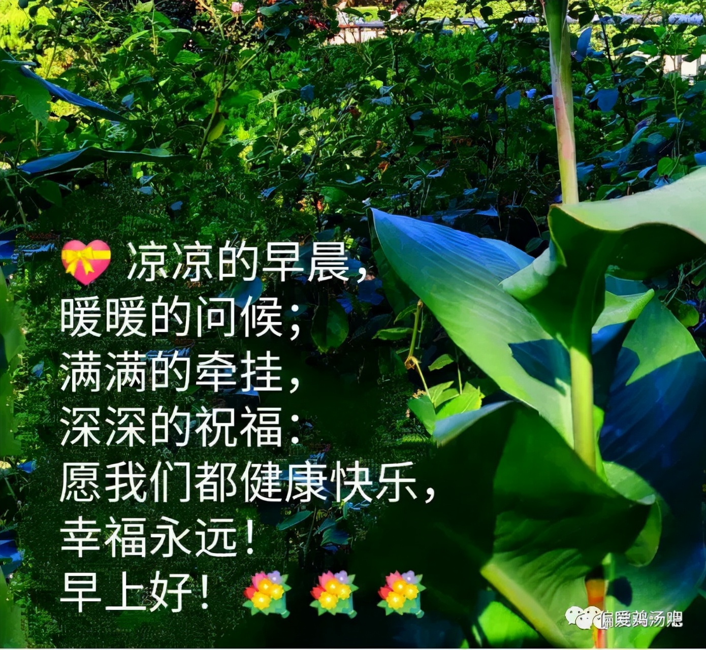 老同学早上好祝福，惦念在心上，愿我们彼此健康幸福快乐
